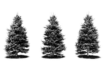 The trees have a classic, triangular silhouette, resembling Christmas trees, and stand on small, circular patches of grass, giving a realistic grounding to the models.