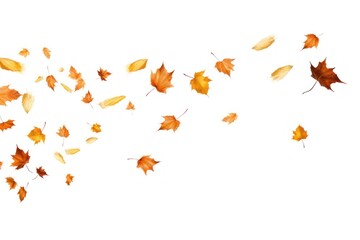 Autumn leaves floating gracefully