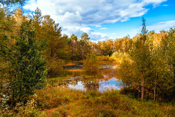 Fototapeta premium Autumn landscape with a small pond surrounded by trees.