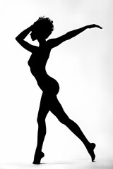 A guide featuring reference pictures for posing photos, including silhouette images of people in various poses.