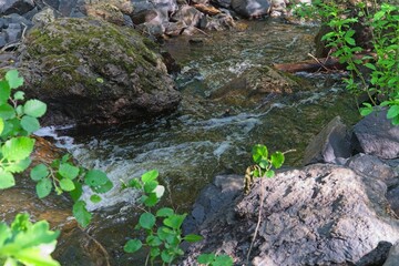  Karelia, Russia, July 10, 2024. Boulders on a mountain river.                              