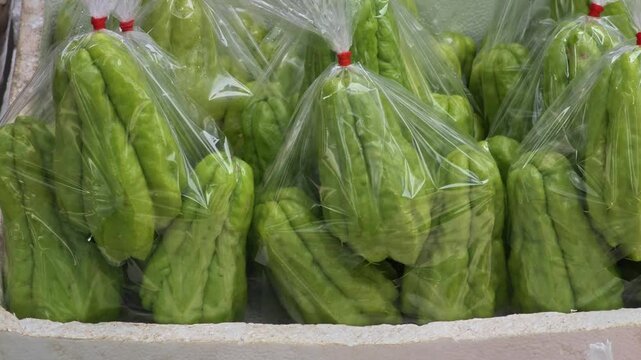 green  Chayote