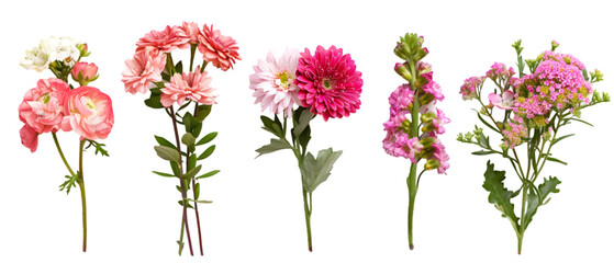 flower bouquet png transparent background