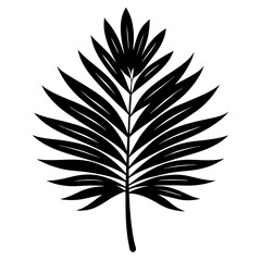 Palm Leaf Silhouette vector illustration