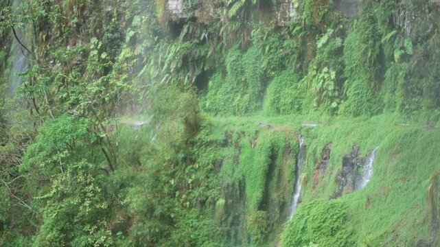 Mountain Bike Path in Yungas Road, Bolivia 