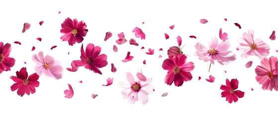 falling flowers png transparent background