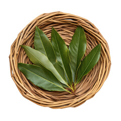 Obraz premium Fresh bay leaves arranged in a woven basket, white isolated background. Transparent PNG