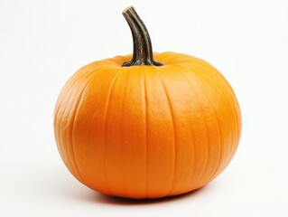 Obraz premium pumpkin on a plain background representing autumn harvest and natural food with room for text