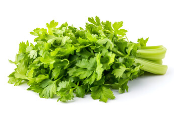 Fototapeta premium a bunch of green celery