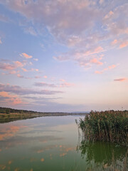Silent evening at the lake. Beautiful colored summer sky and green forest at the horizon.