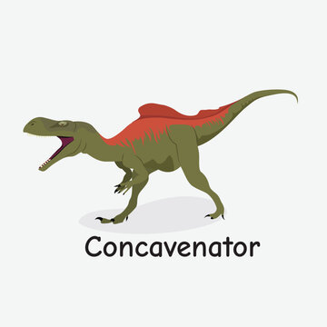 Concavenator Dinosaur Vector Illustration with Unique Crest