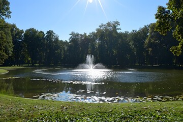 Serene Park Scene with Fountain and Reflections in a Tranquil Pond