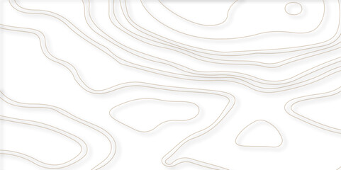 Seamless pattern with lines White wave paper curved reliefs abstract background, Abstract topographic contours map background. Topographic map background geographic line map with elevation assignments