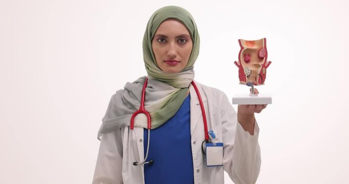 Woman doctor in hijab holds anatomical model of urinary system and blister pack of pills. Muslim therapist offers effective medication for patient