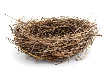 Handcrafted bird nest art