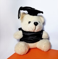 teddy bear with graduation cap and gown