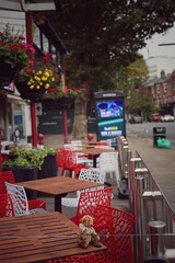 Stuffed Teady Bear traveling around Ealing Broadway London Vintage Photography