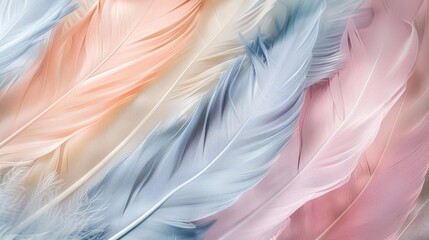 Fototapeta premium Soft pastel feathers arranged in a beautiful pattern.