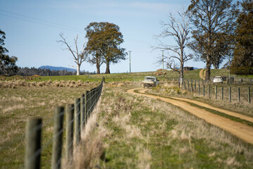 Fototapeta premium driving down a dirt road gravel road in outback australia in a ute truck on a farm by a wire fence