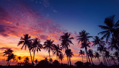Obraz premium Silhouette of coconut palm trees near beach at sunset.