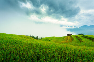 Lush green rice field terraces with wooden hut and foggy covered in the morning on countryside