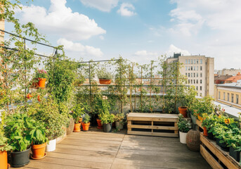 Obraz premium Lush green plants growing in pots on a sunny roof top garden with a wooden floor