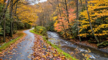 Obraz premium Autumnal Path Through a Forested Stream