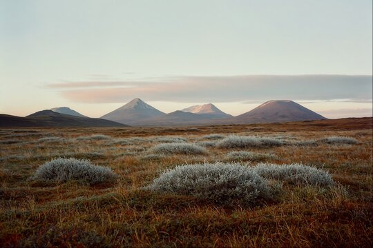 Serene Mountain Landscape at Dawn with Majestic Peaks and Open Field