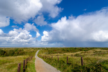 Beach path with sand beach under blue sky, Dune (Duin) with european marram grass, Schiermonnikoog is a municipality and national park in the Northern Netherlands and one of the West Frisian Islands.