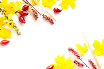 Autumn creative composition. Beautiful leaves, rose hips, dandelion and notebook on white background. Fall concept. Autumn background. Flat lay, top view, copy space