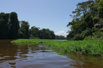 Tropische wilde Wasserlandschaft in Costa Rica in Mittelamerika