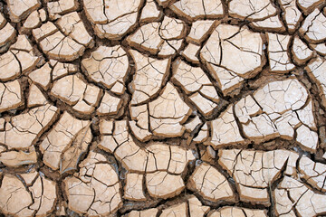Dry Earth Cracks in Arid Landscape