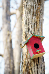 Colorful Birdhouse on Tree Bark
