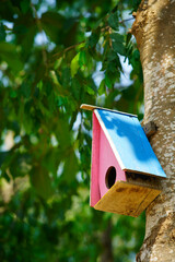 Colorful Birdhouse Hanging on Tree Branch