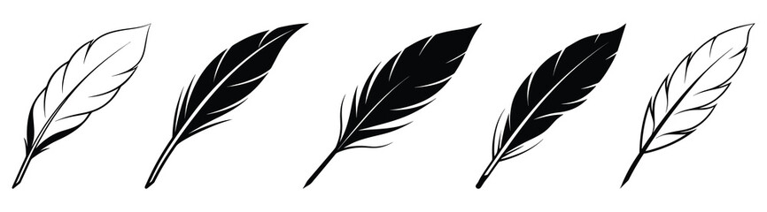 Obraz premium Black fluffy feather. Hand drawing vintage art realistic quill feathers for pen detailed isolated vector elegant silhouette sketch bird plume set