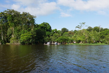 Urwald und Wasser in Tortuguero in Costa Rica