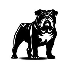 Bulldog standing silhouette vector illustration line art