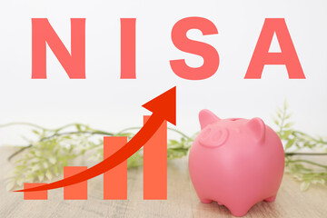 NISA 豚の貯金箱