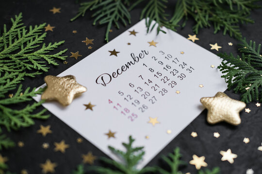 December calendar, spruce branches and golden stars on dark background