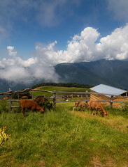 Fototapeta premium Magnificent views of the mountain village and nature of Azerbaijan
