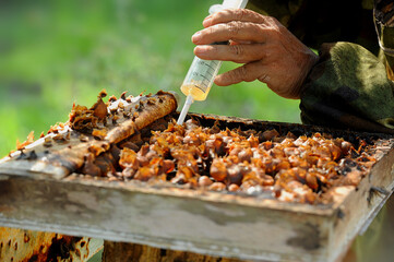 Syringe tool inhaler Bee honey (Kelulut)