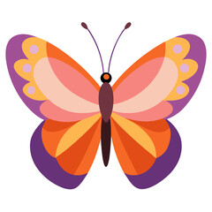 butterfly on white background color vector illustration