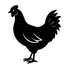 hen isolated on white silhouette vector illustration