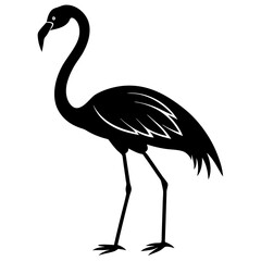 flamingo silhouette isolated on white