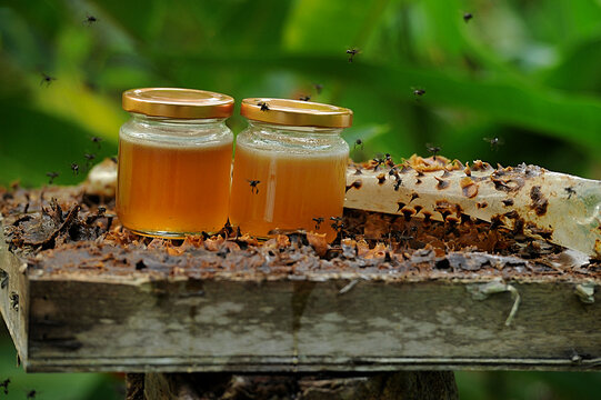 Honey in a bottle with Honeycomb (Kelulut)