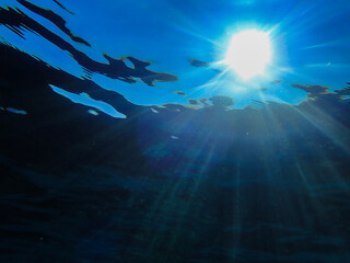 Fototapeta premium The sun shines through water, casting mottled light and shadow, intertwined with countless bubbles underwater, like a dance of light. Various aquatic plants sway gently in water in Mediterranean sea.