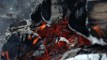 Fire Wood Fire embers ash