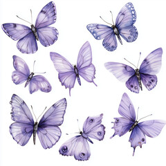 seamless pattern with purple butterflies isolated on white