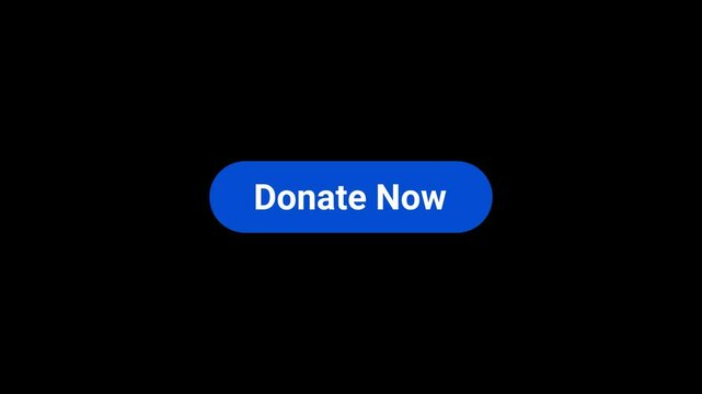 Donate now Call to action Button Animation