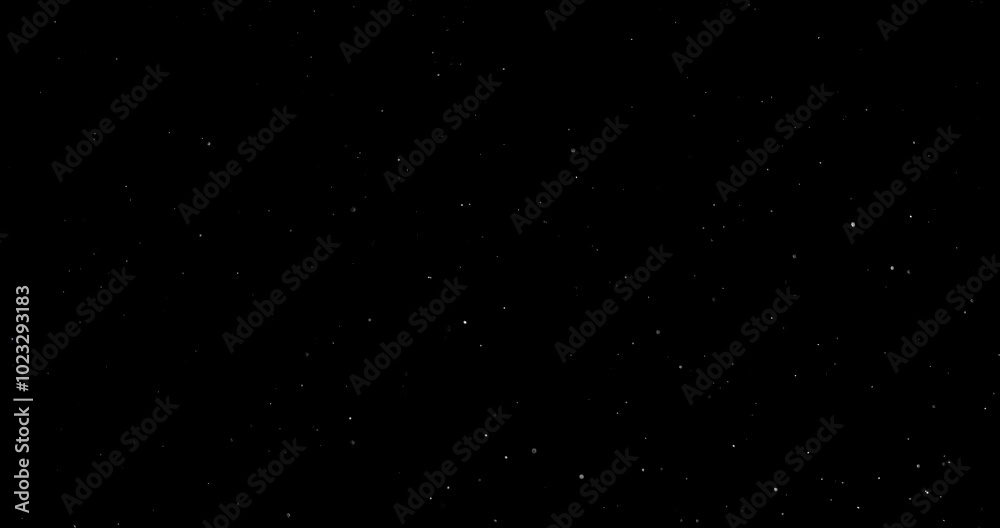Wall mural natural organic dust particles floating on black background. dynamic dust particles randomly float i